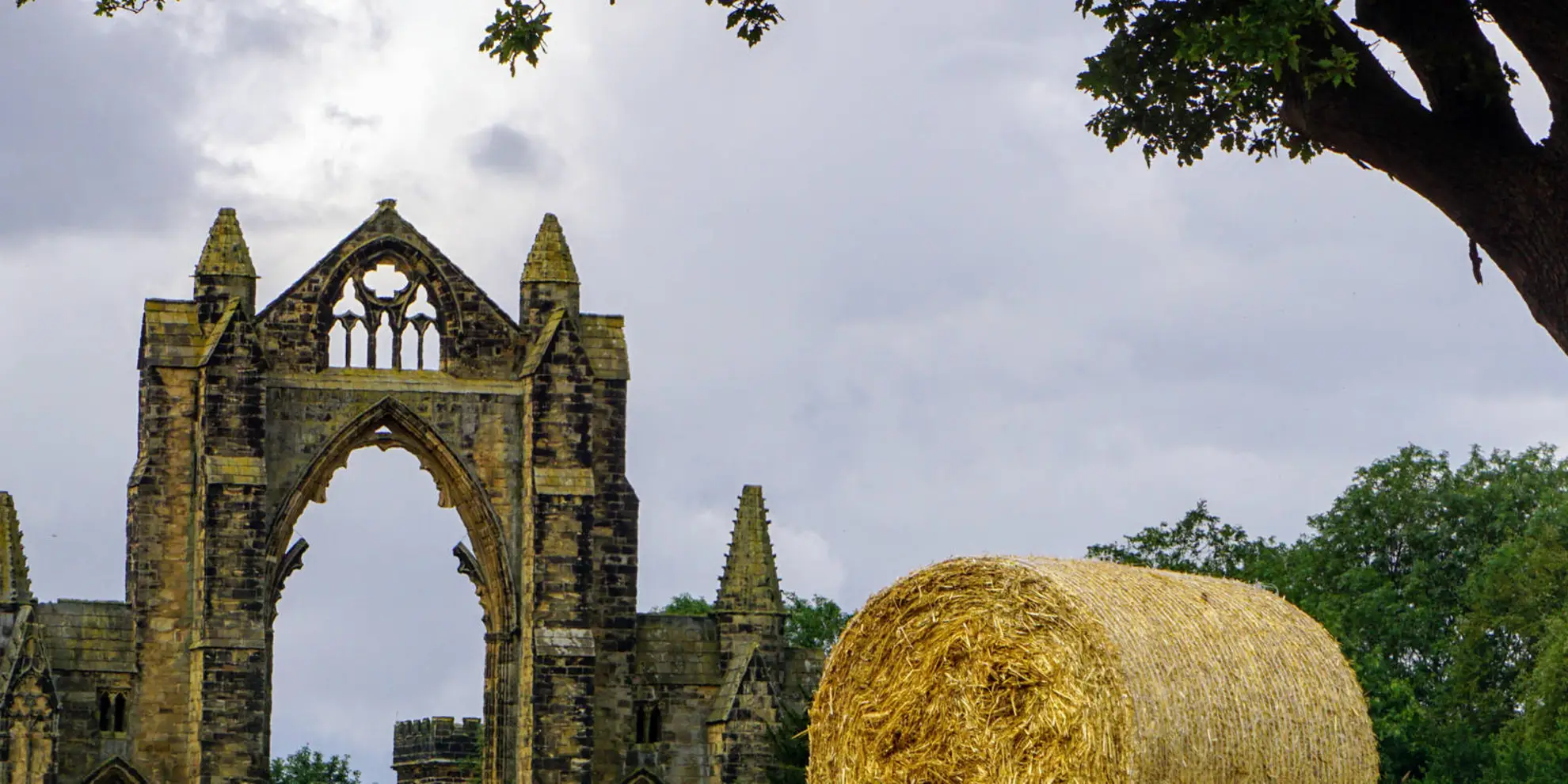 An image depicting the trail Cleveland Street Walk and its surrounding area.