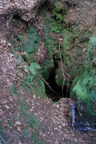 Highmeadow Woods Short Loop