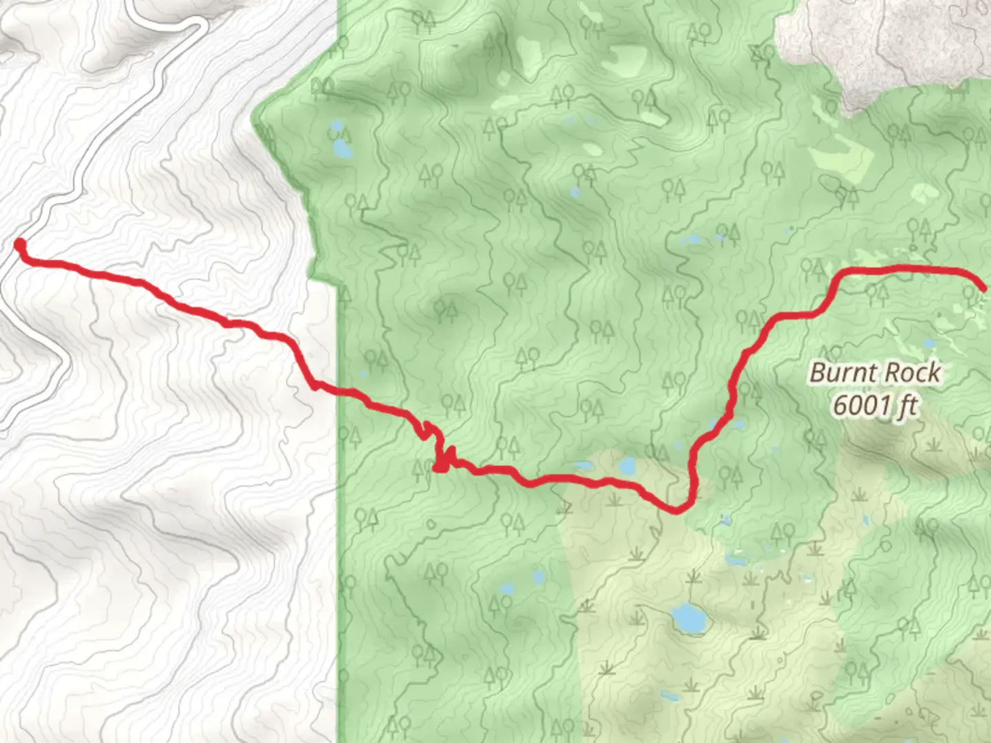 An image depicting the trail Riley Camp Trail and its surrounding area.