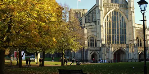 An image depicting the trail Allan King Way and its surrounding area.