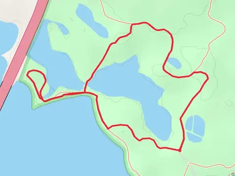 Oak Hill and Great Marsh Loop Trail