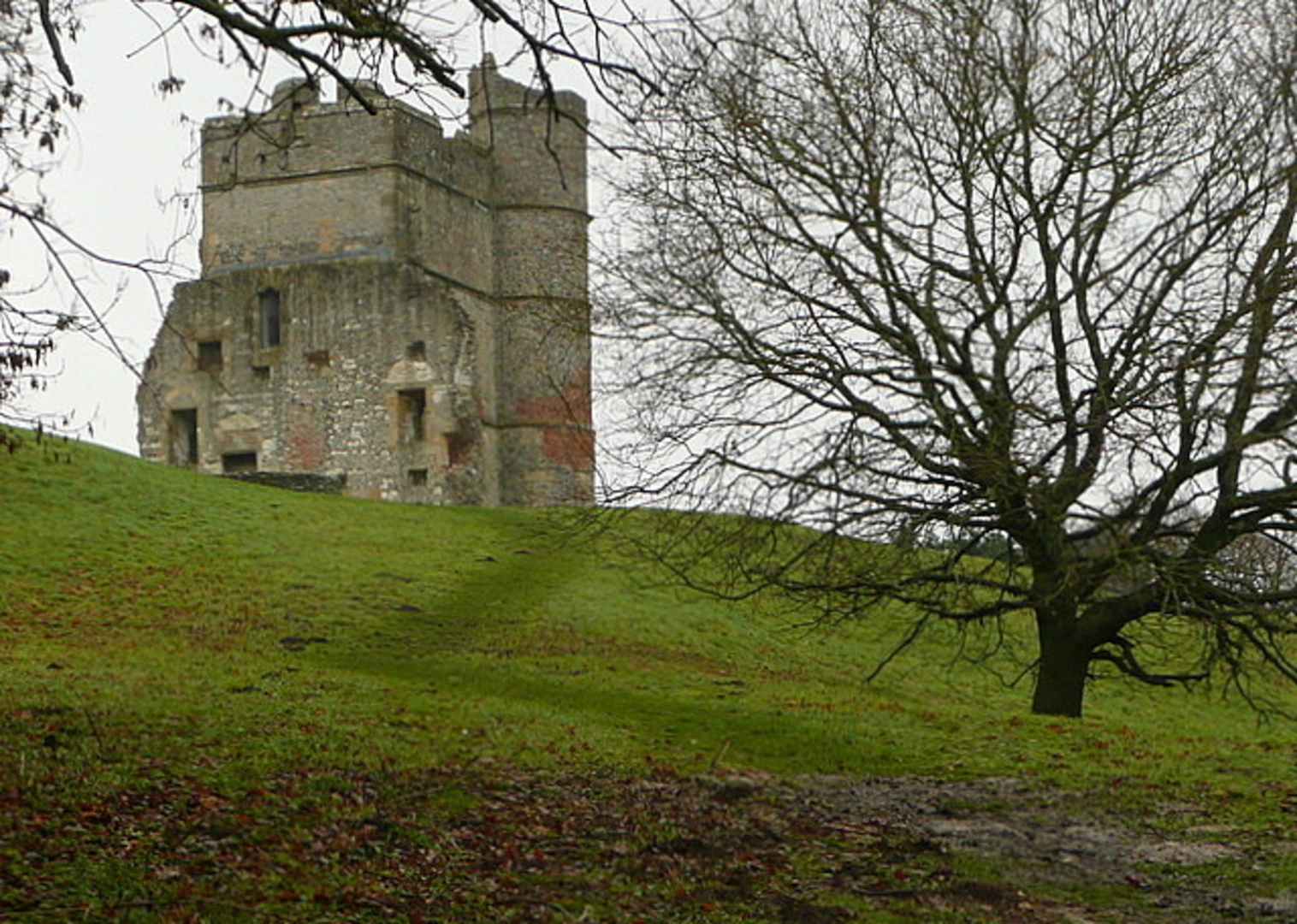 An image depicting the trail Donnington Castle Loop and its surrounding area.