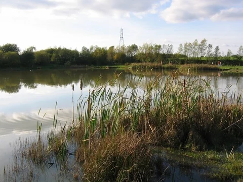 An image depicting the trail Tibshelf , Holmewood and Fackley Loop and its surrounding area.
