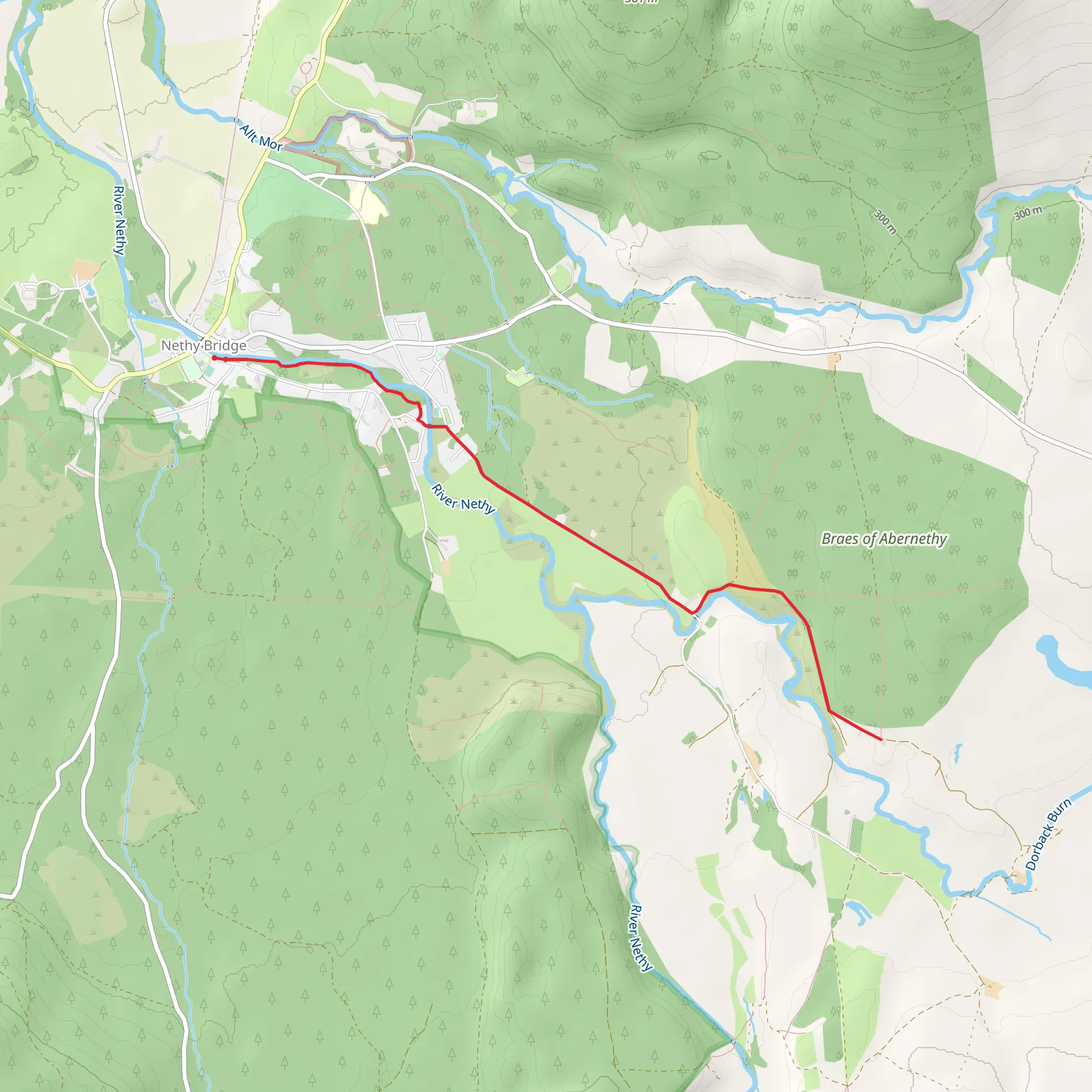 Nethy Bridge Path - Lettoch Trail mobile static map