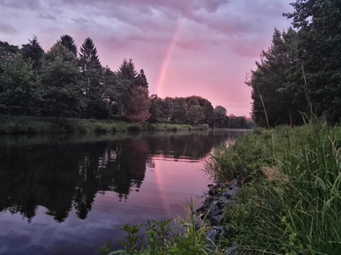Goldfischteich and Wondenberg Loop