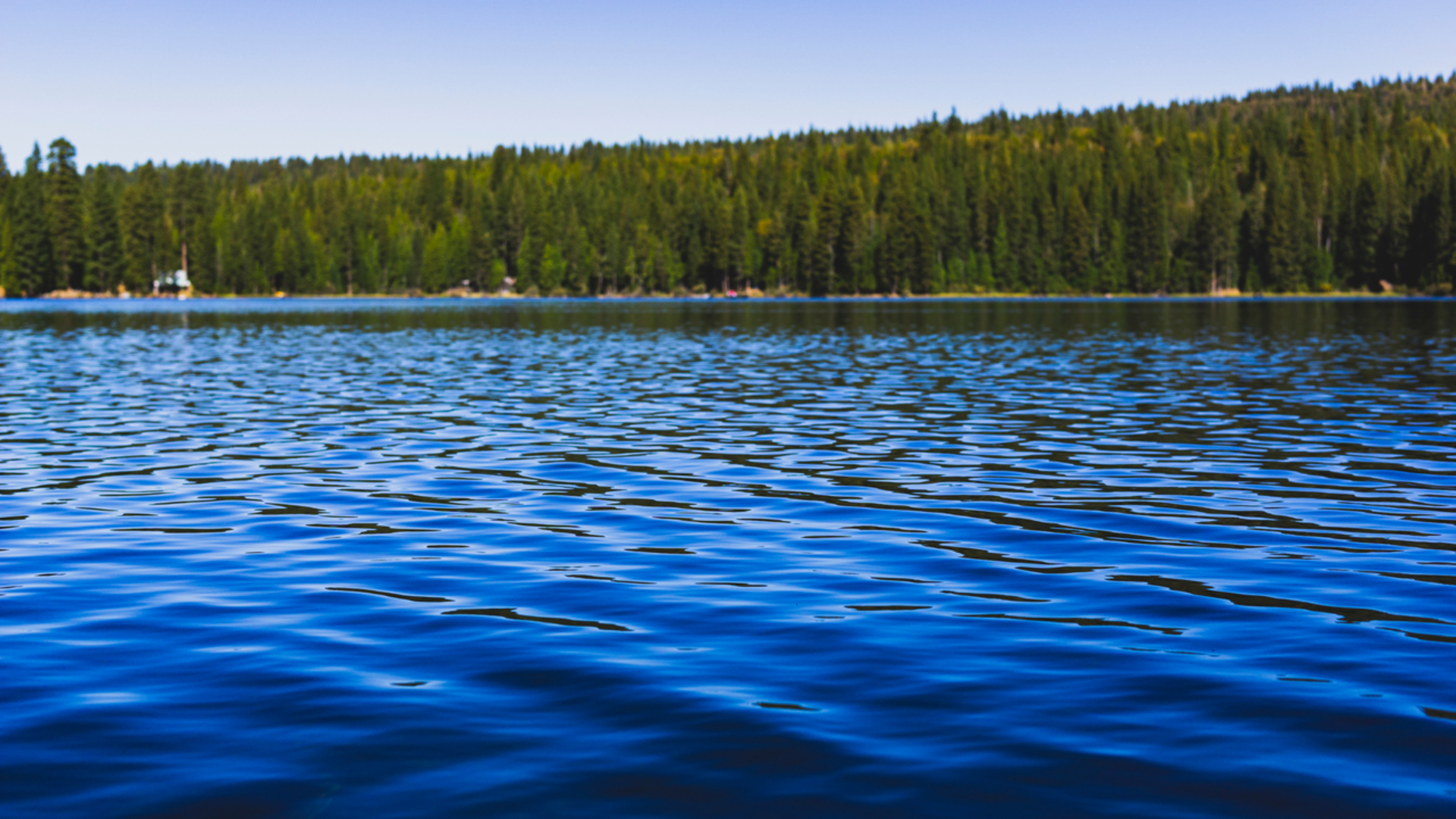 An image depicting the trail Spaulding Lake Trail from Bowman Lake Road and its surrounding area.