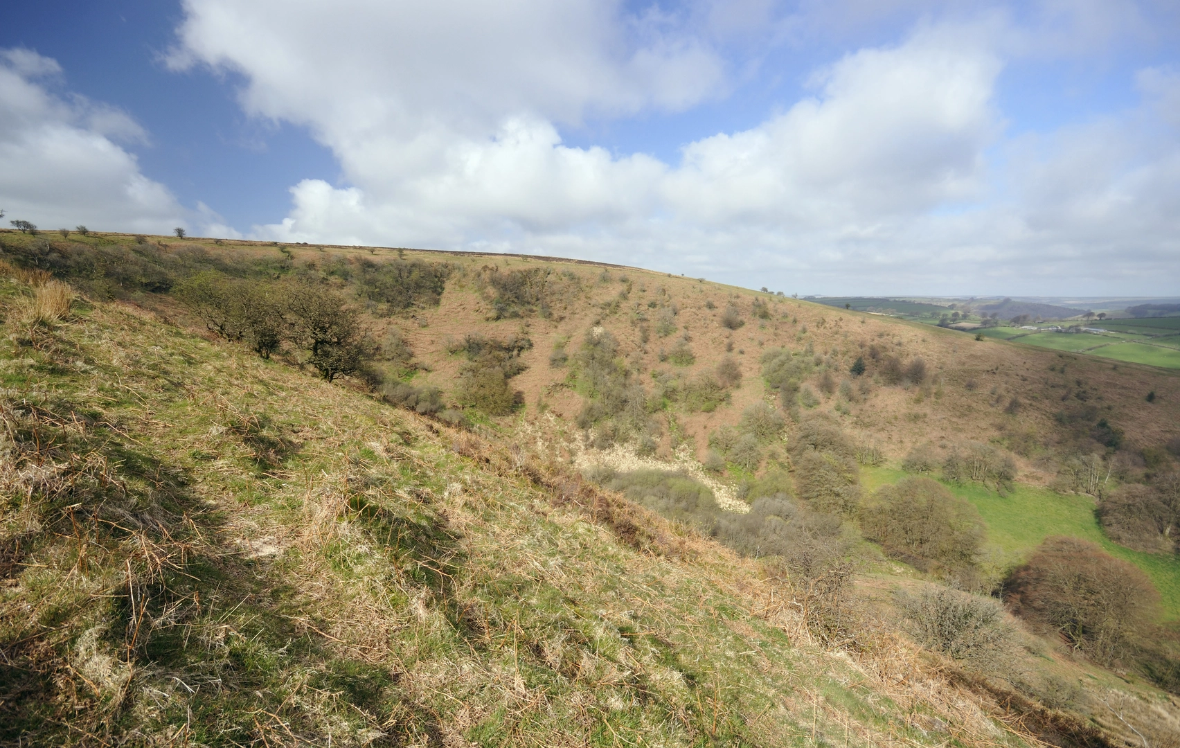 An image depicting the trail Bye Common and Winsford and its surrounding area.