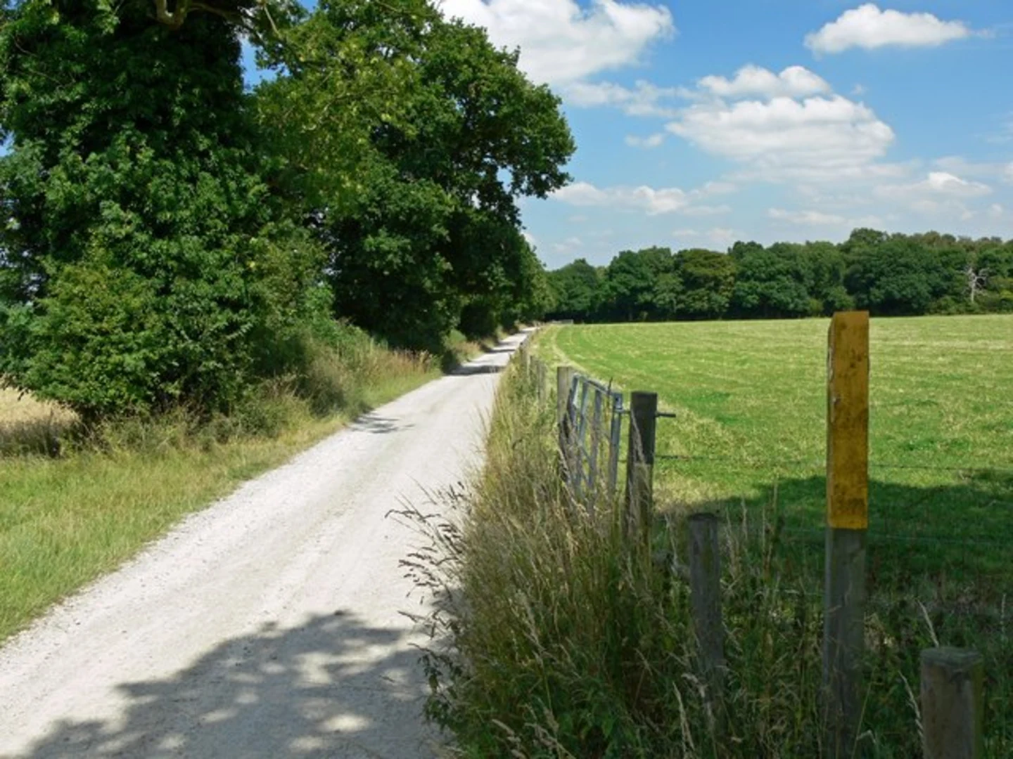 An image depicting the trail Smisby Loop and its surrounding area.