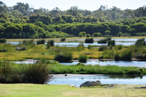 Wetlands Walk Trail