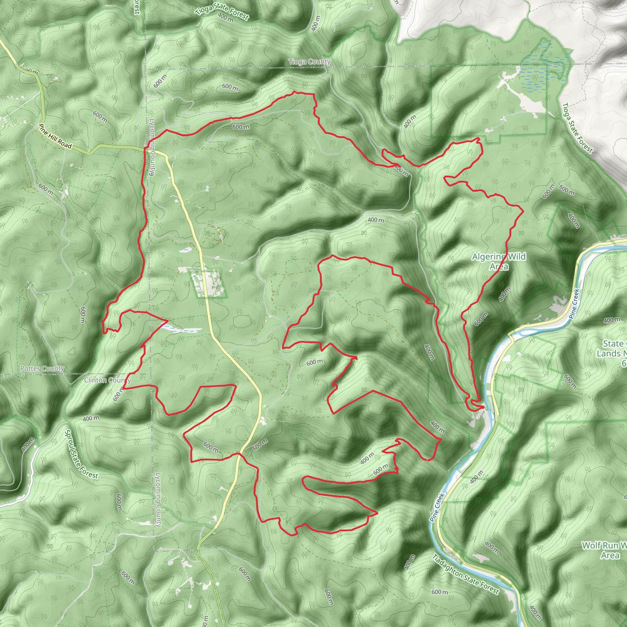 Black Forest Trail mobile static map