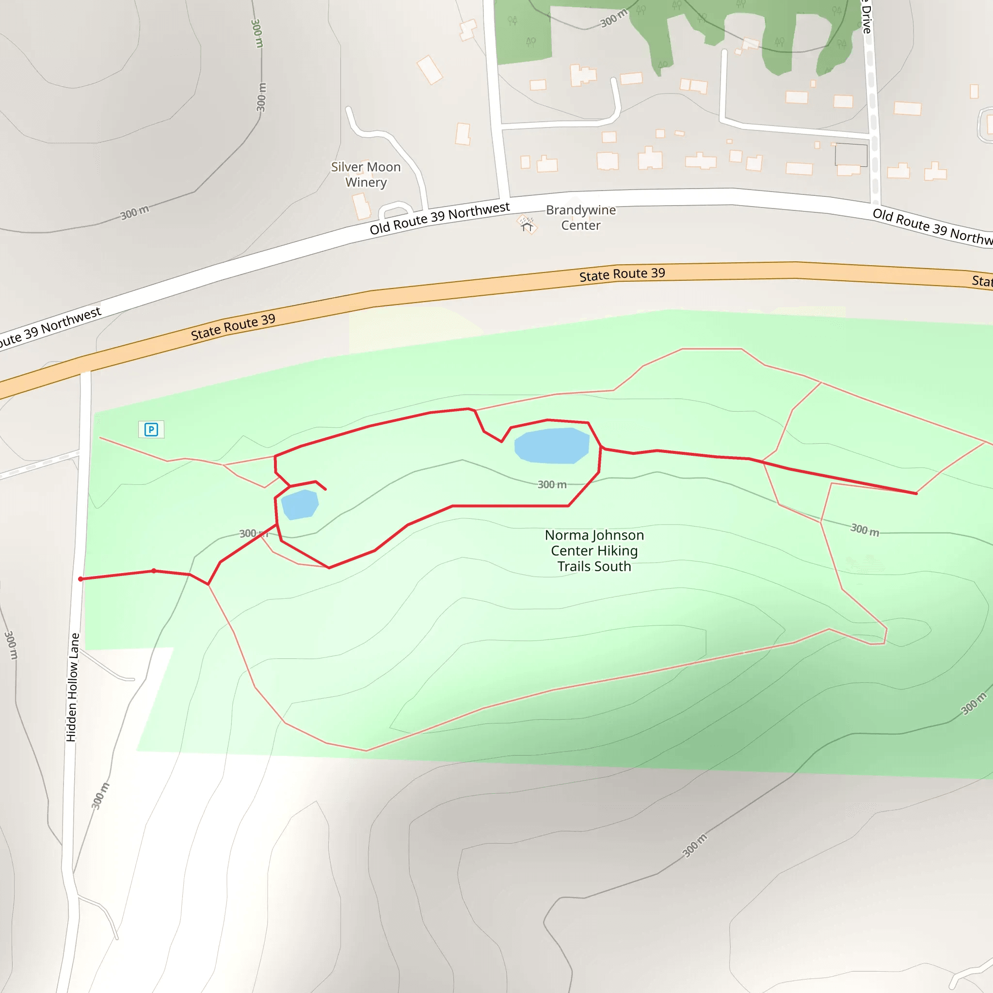 Hidden Hollow Lane Loop mobile static map