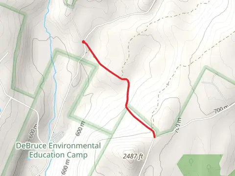 Mongaup Creek via Terwilliger Road