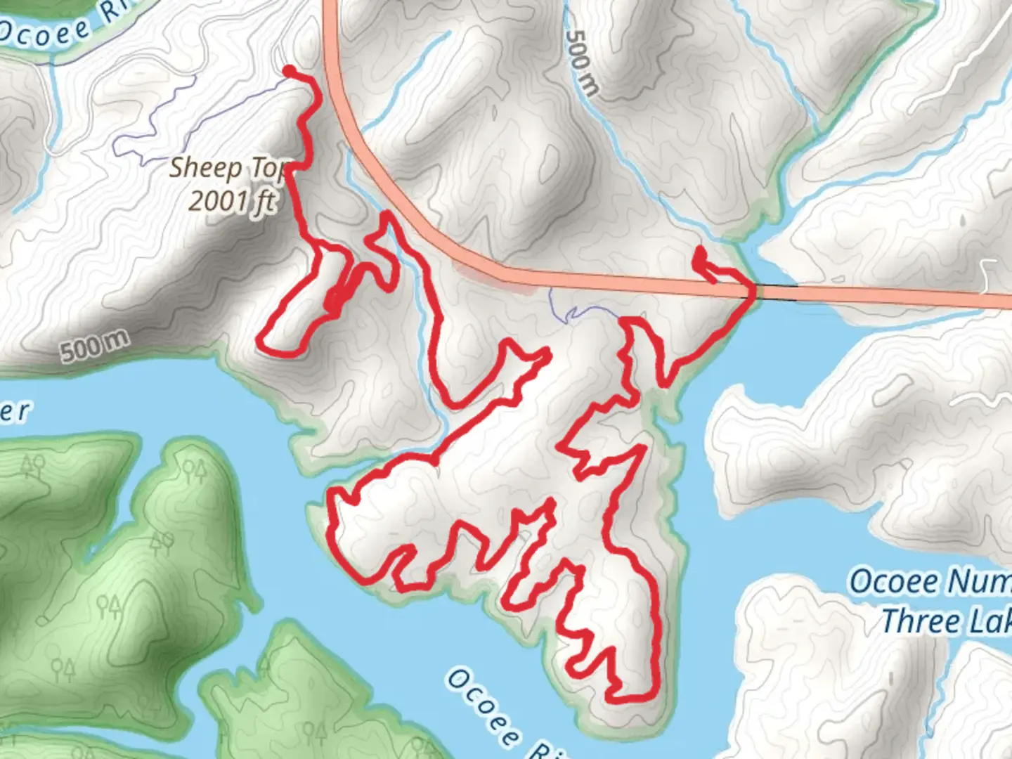 An image depicting the trail Brush Creek Out and Back and its surrounding area.