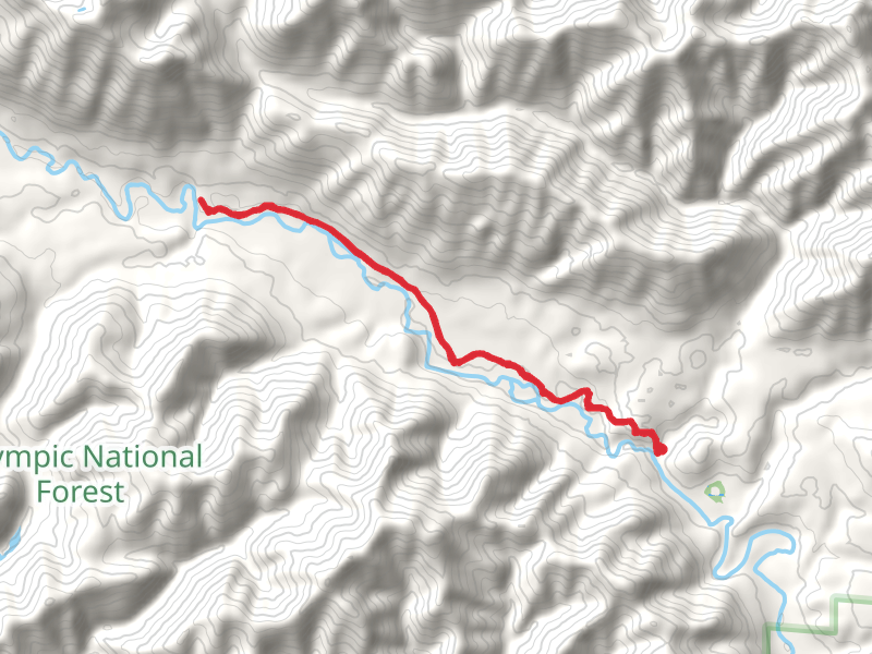 Lower South Fork Skokomish River Trail