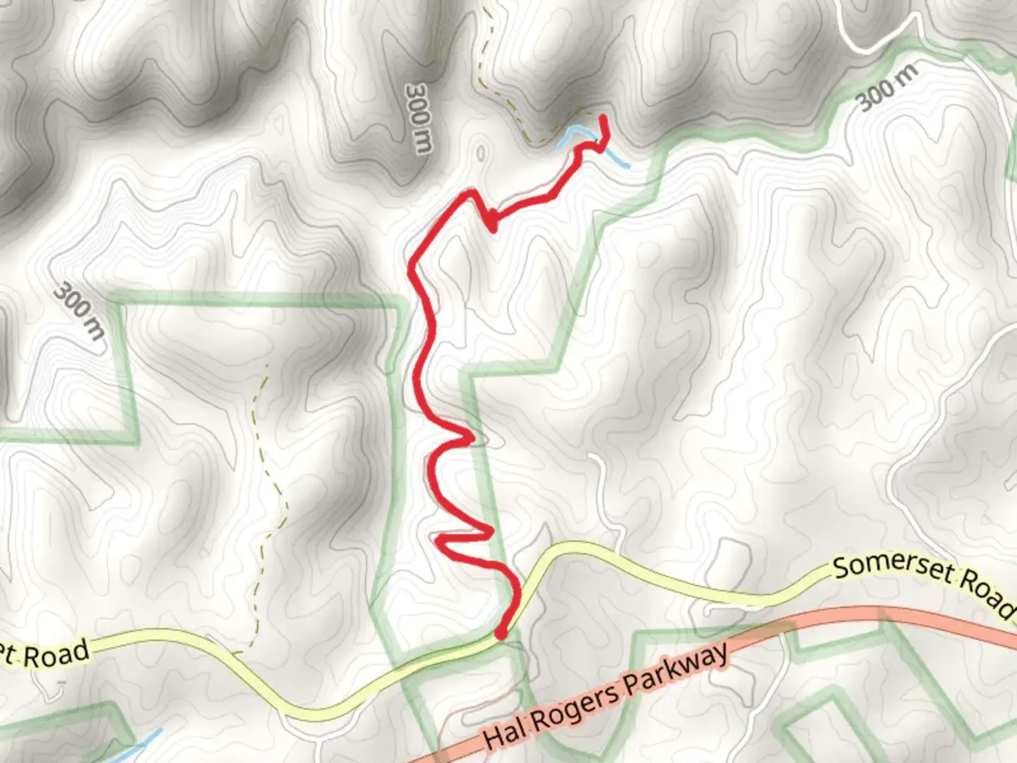 An image depicting the trail Sheltowee Trace and its surrounding area.