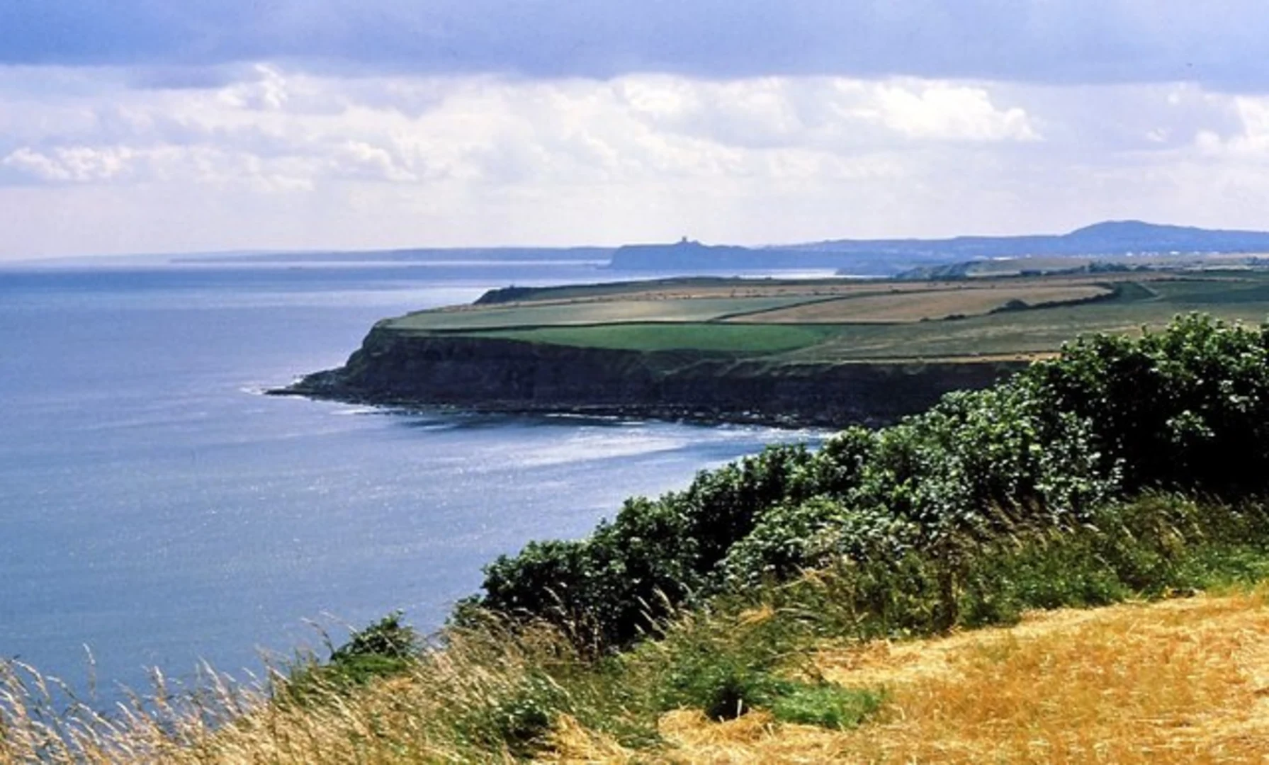 An image depicting the trail Hundale Point Loop and its surrounding area.