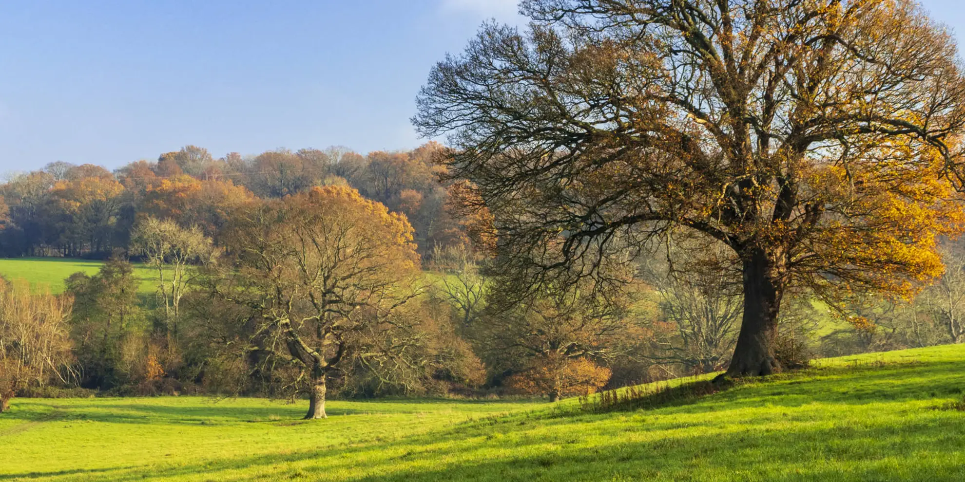 An image depicting the trail Tunbridge Wells Circular Walk and its surrounding area.