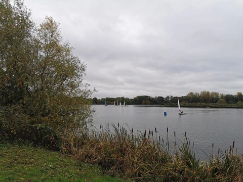 An image depicting the trail Priory Country Park Loop and its surrounding area.