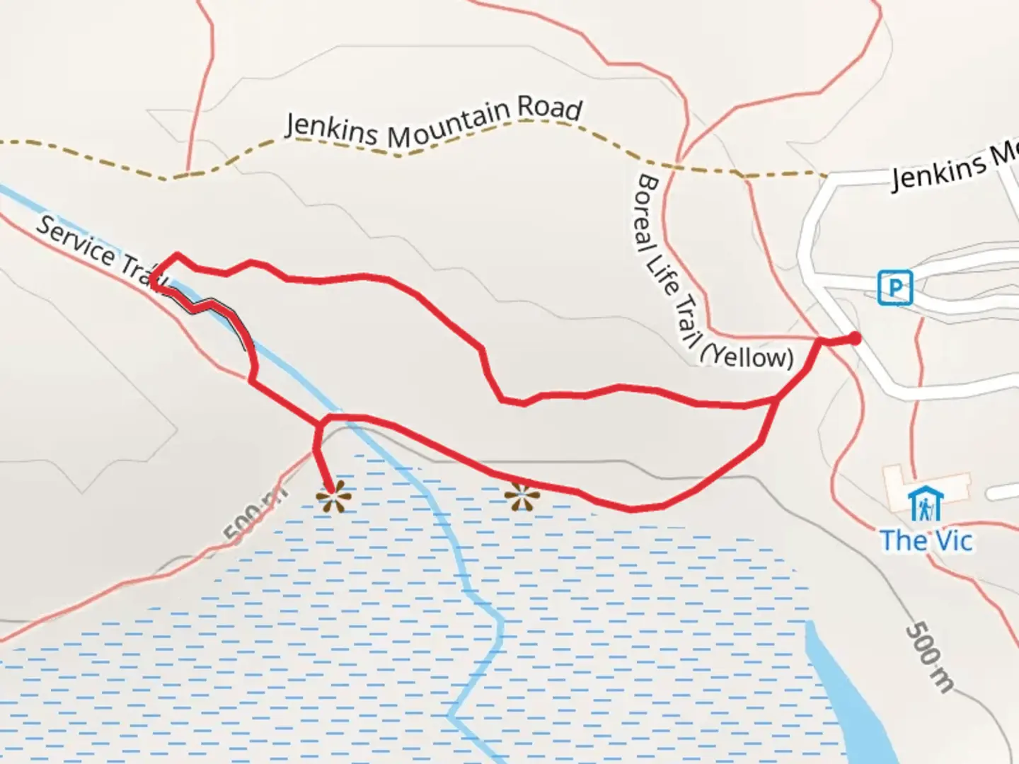 An image depicting the trail Barnum Brook Trail - Blue Loop and its surrounding area.
