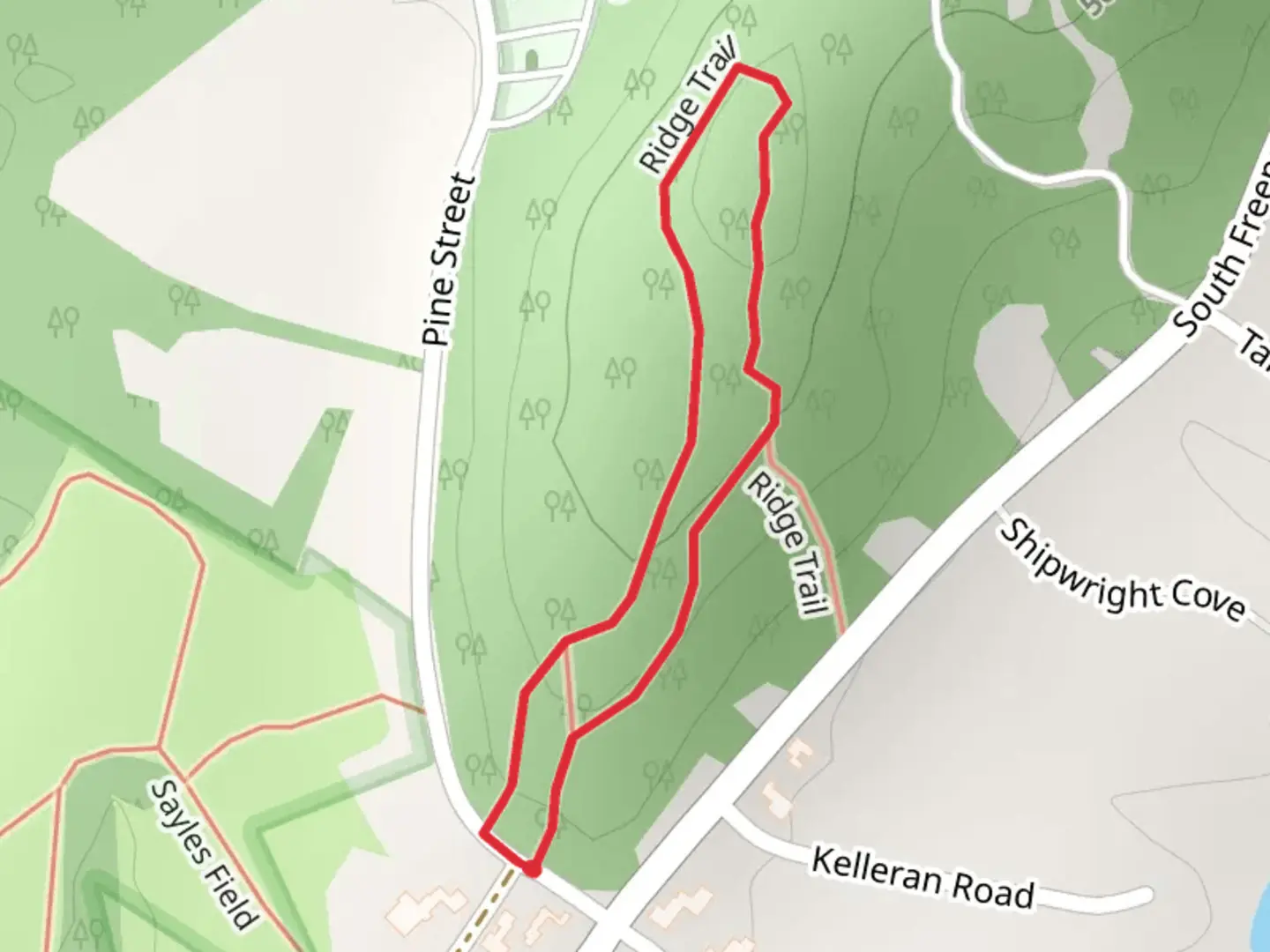 An image depicting the trail Ridge Trail Loop from Pine Street and its surrounding area.