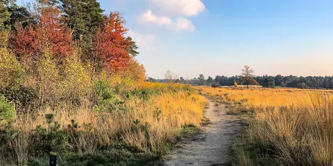 An image depicting the trail Pelgrimspad 1 and its surrounding area.