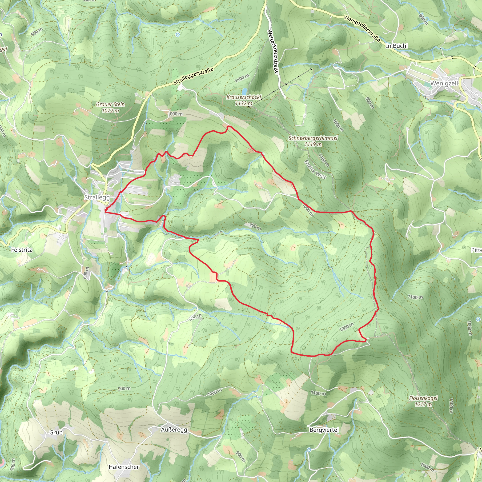 Strallegg - Wild meadow - Dead man Loop mobile static map