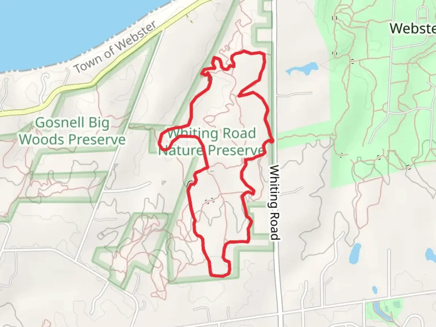 An image depicting the trail Orange Trail via Whiting Road Loop and its surrounding area.
