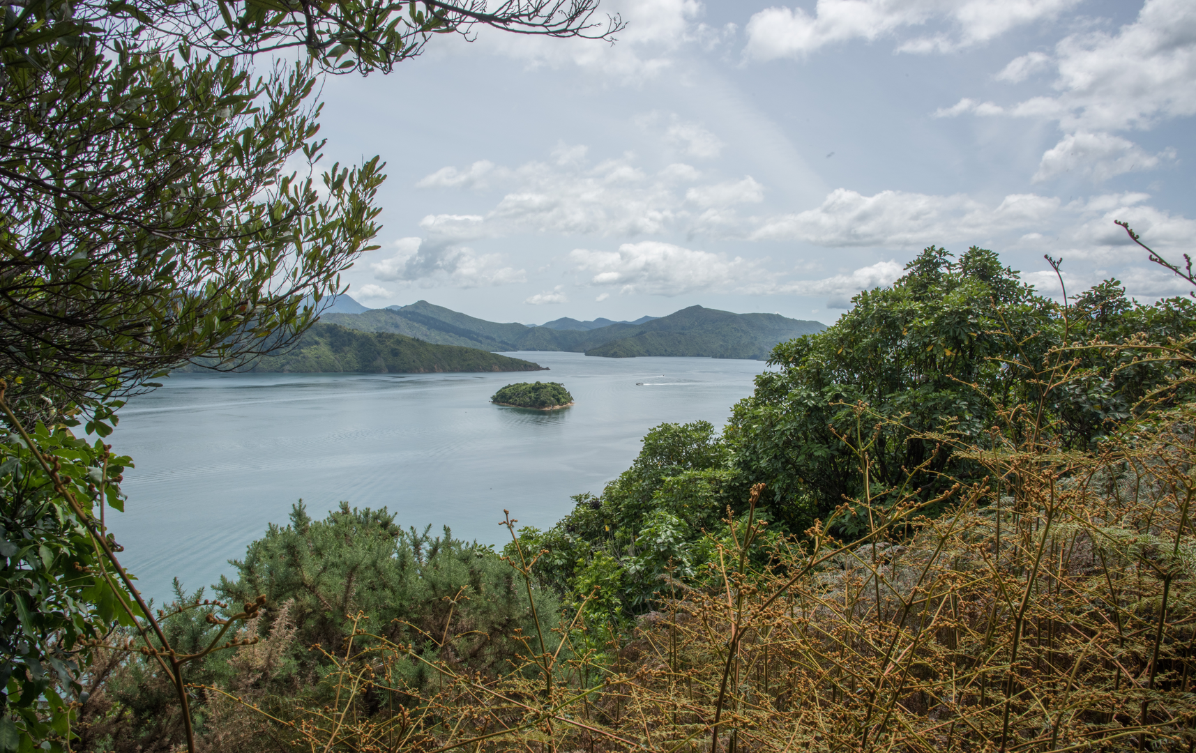 An image depicting the trail Picton Snout Track and its surrounding area.