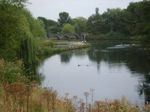 Meriden Park and Kingshurst Brook