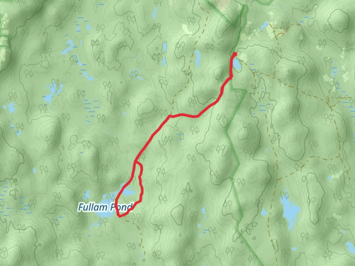An image depicting the trail Fullam Pond Trail and its surrounding area.