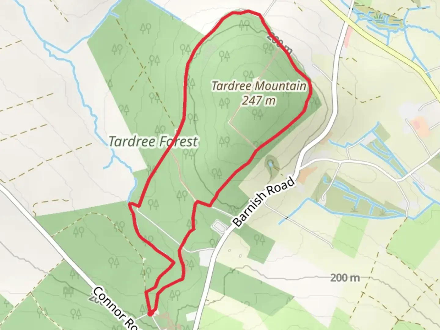 An image depicting the trail Tardree Forest Walk and its surrounding area.