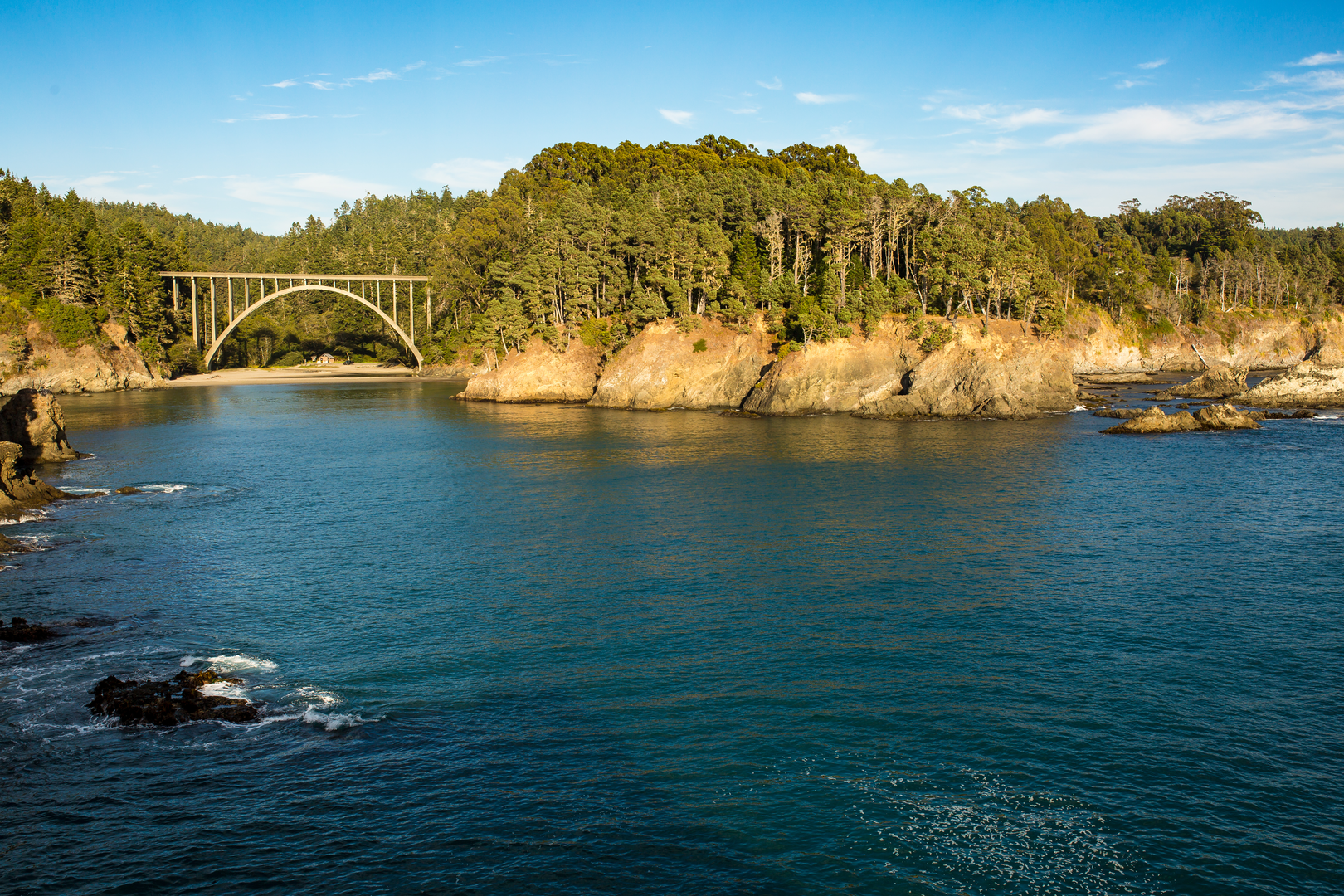 An image depicting the trail Mendocino Headlines Bluff Loop Trail and its surrounding area.