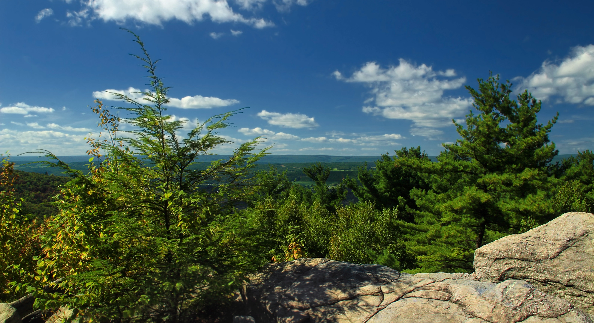 An image depicting the trail Weathering Knob via Appalachian Trail and its surrounding area.