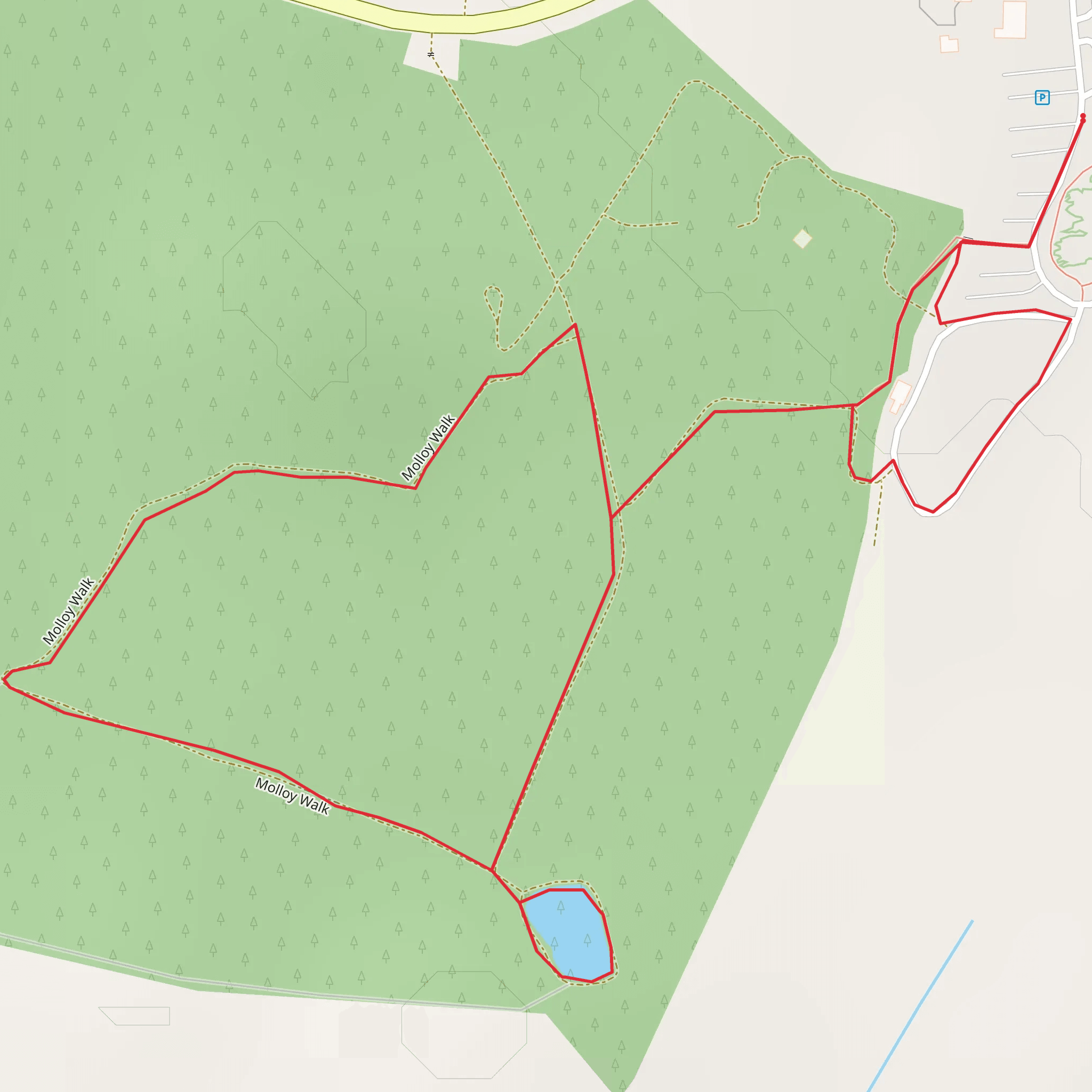 Rathwood Molloy's Walk mobile static map