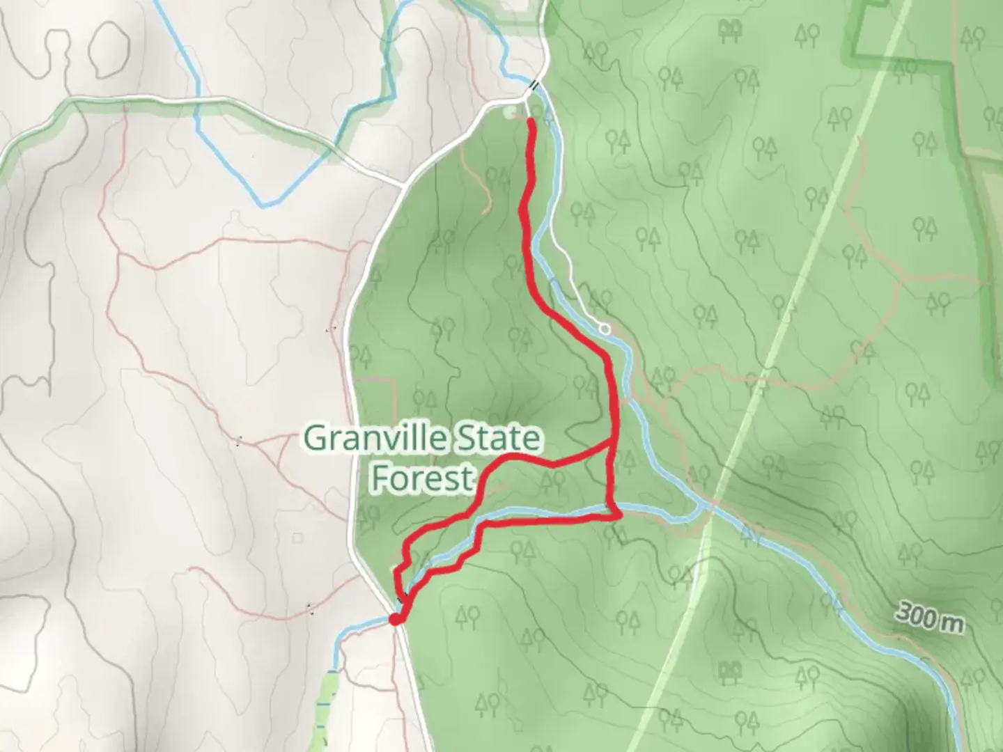 An image depicting the trail Camp and Halfway Brook Trail and its surrounding area.
