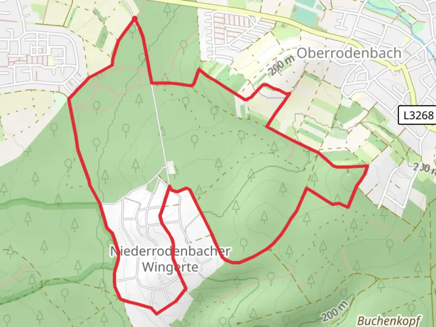 An image depicting the trail Rodenbach - Rundwanderweg Eule and its surrounding area.