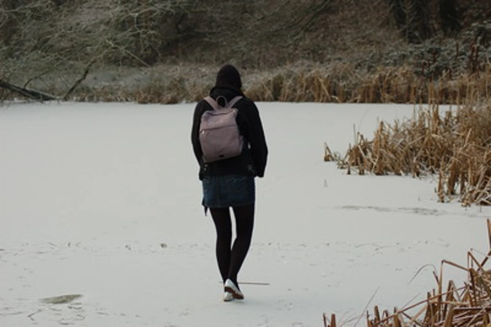 An image depicting the trail Gatley Carrs Loop and its surrounding area.