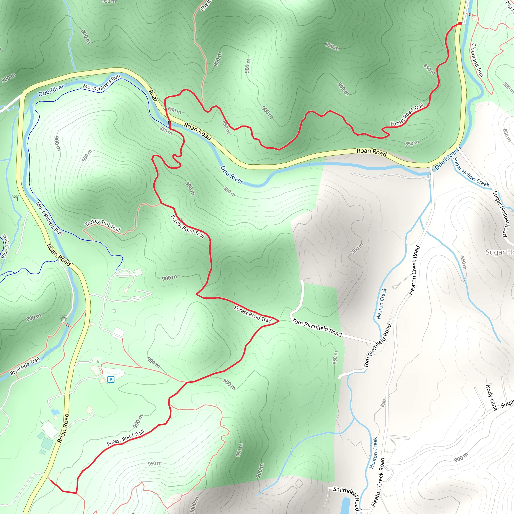 Forest Road Trail mobile static map