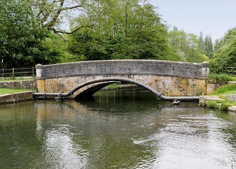 Bitterne to Winchester Walk
