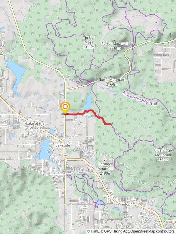 Ice Cave Short Trail - Porter Mountain Road