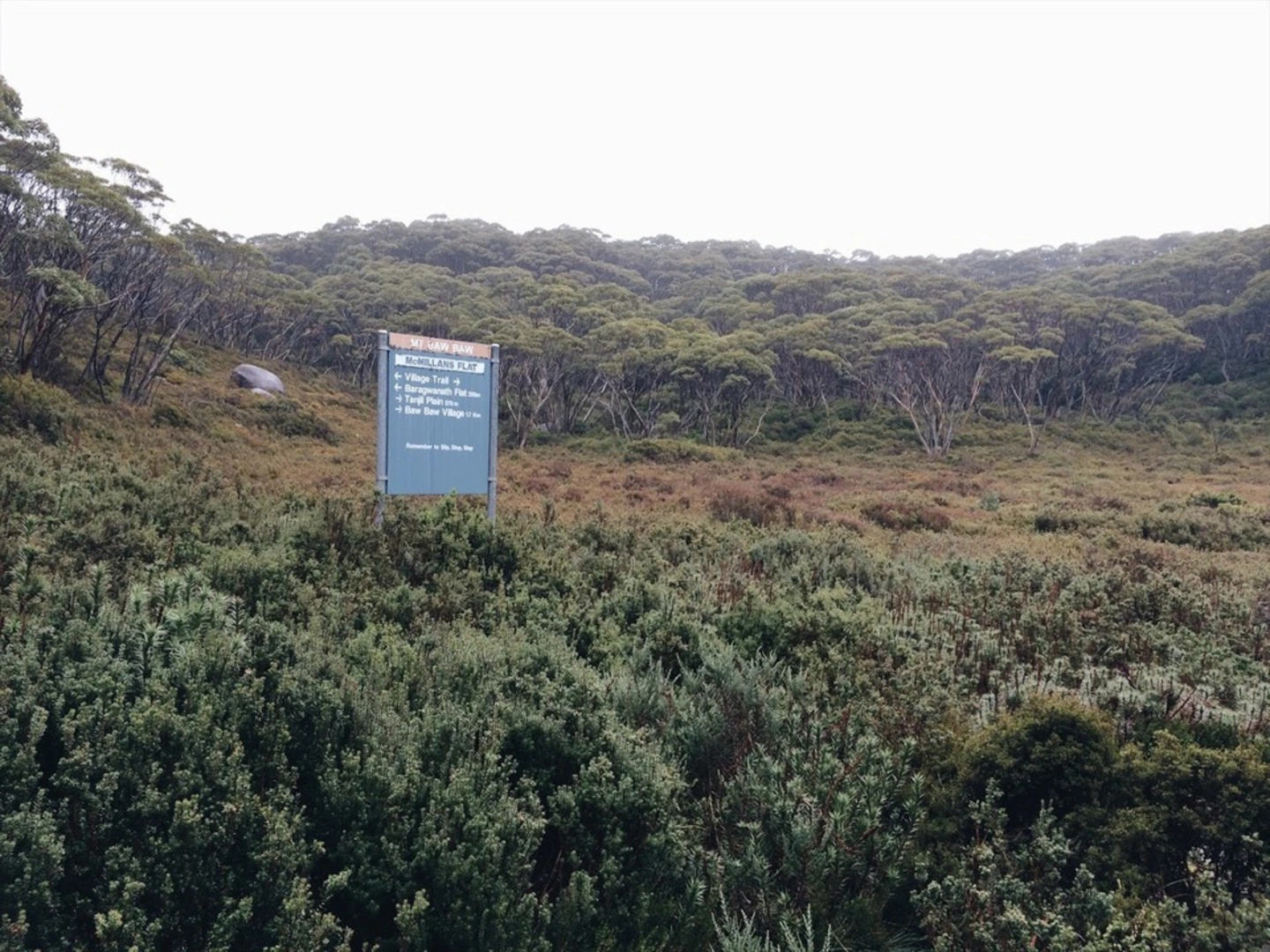 An image depicting the trail Mushroom Rocks Trail and its surrounding area.