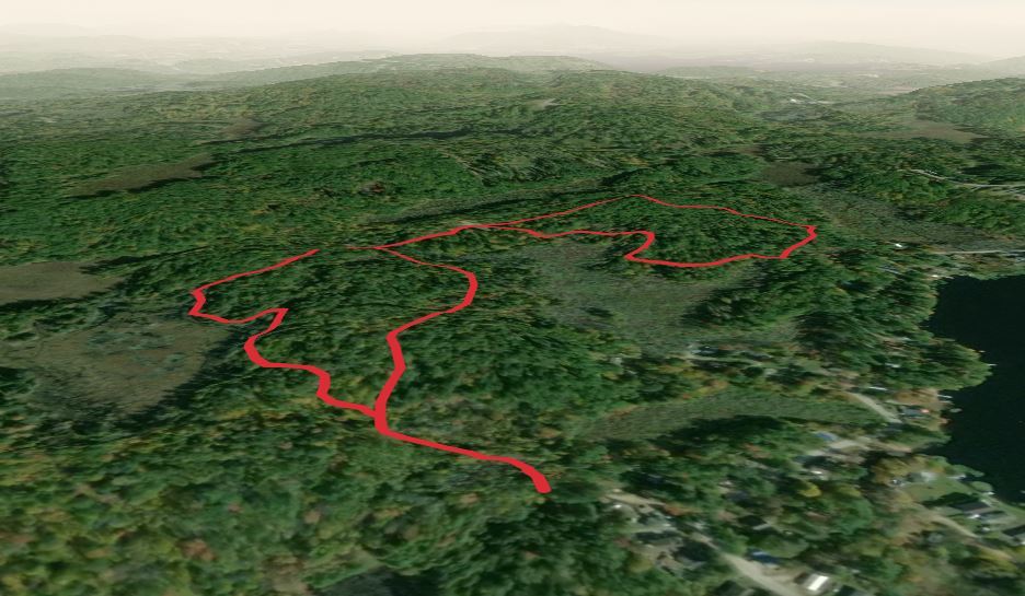 Briar Road Connector and Bog Loop Trail