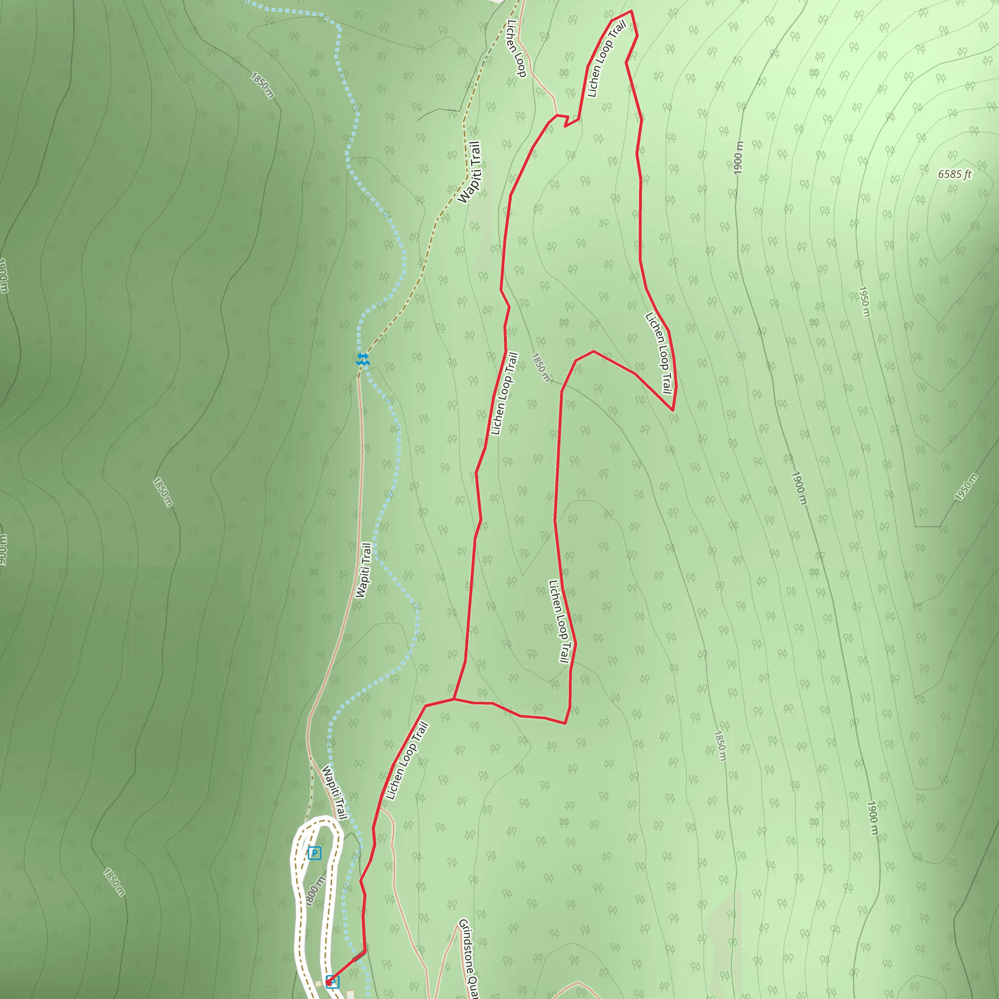 Lichen Loop Trail mobile static map