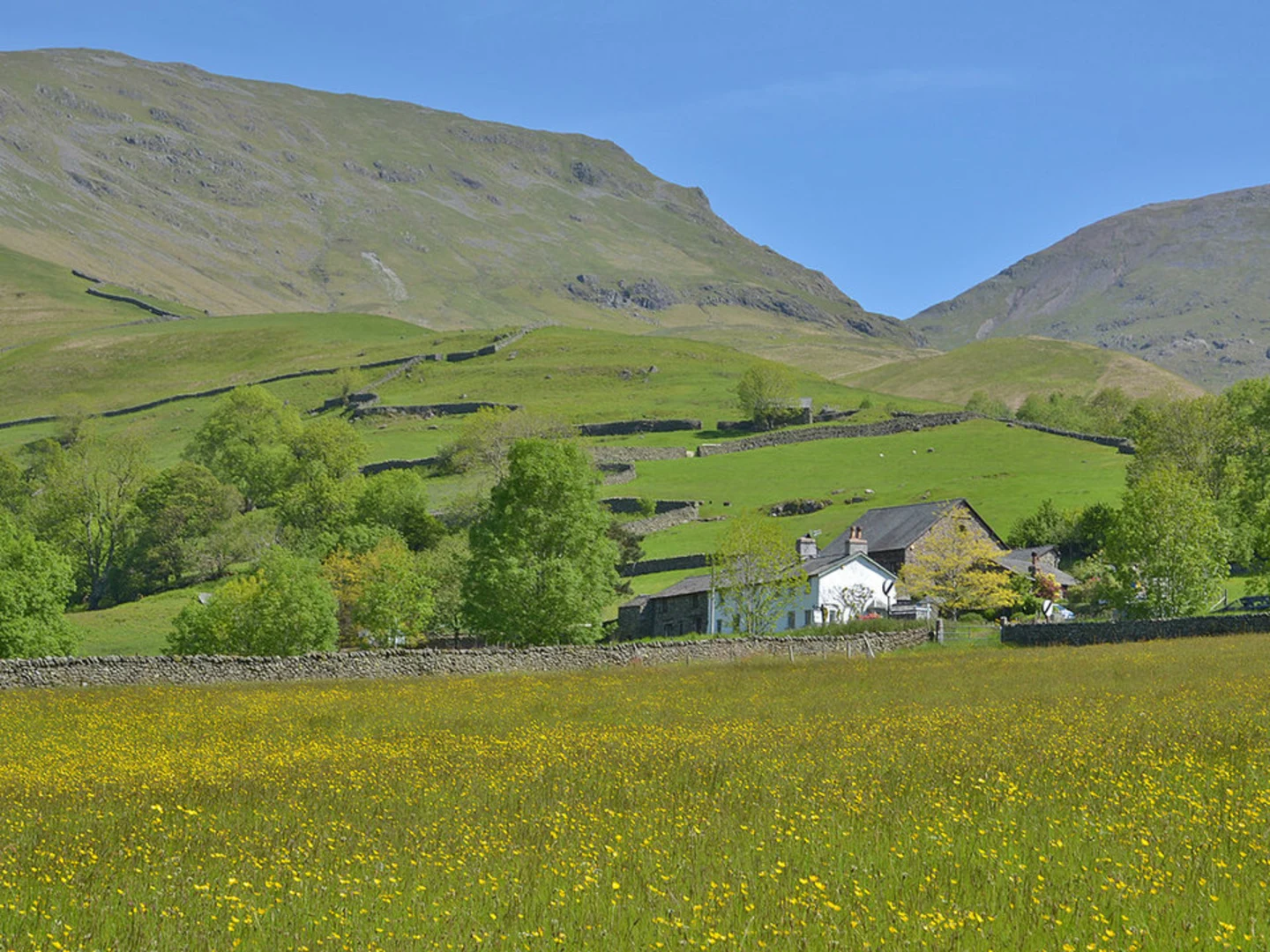 An image depicting the trail Gibson Knott and its surrounding area.