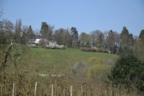 Sommerberg bei Frauenstein via Alte Rheingauser Strasse