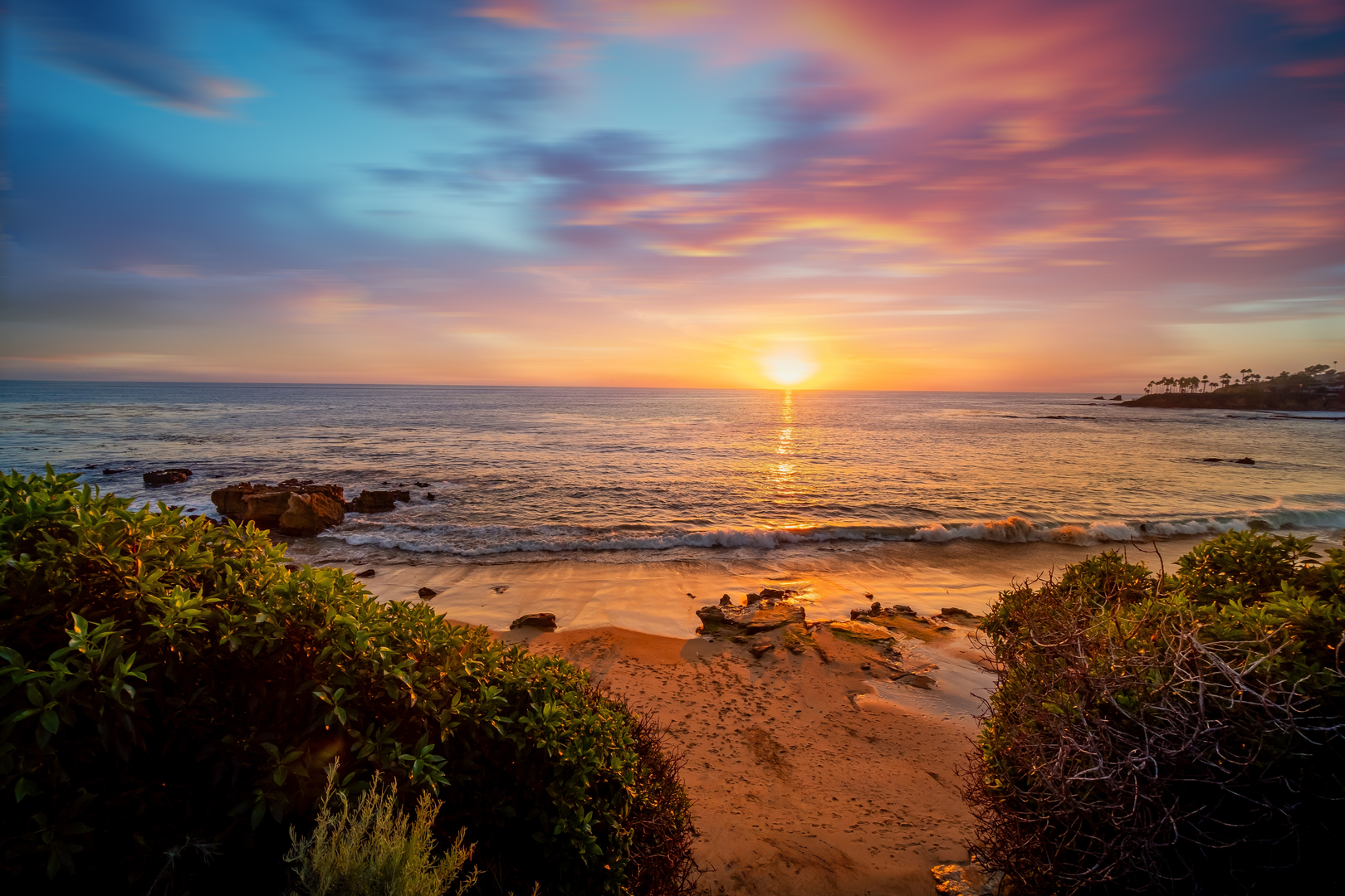 An image depicting the trail Laguna Beach Loop Trail and its surrounding area.