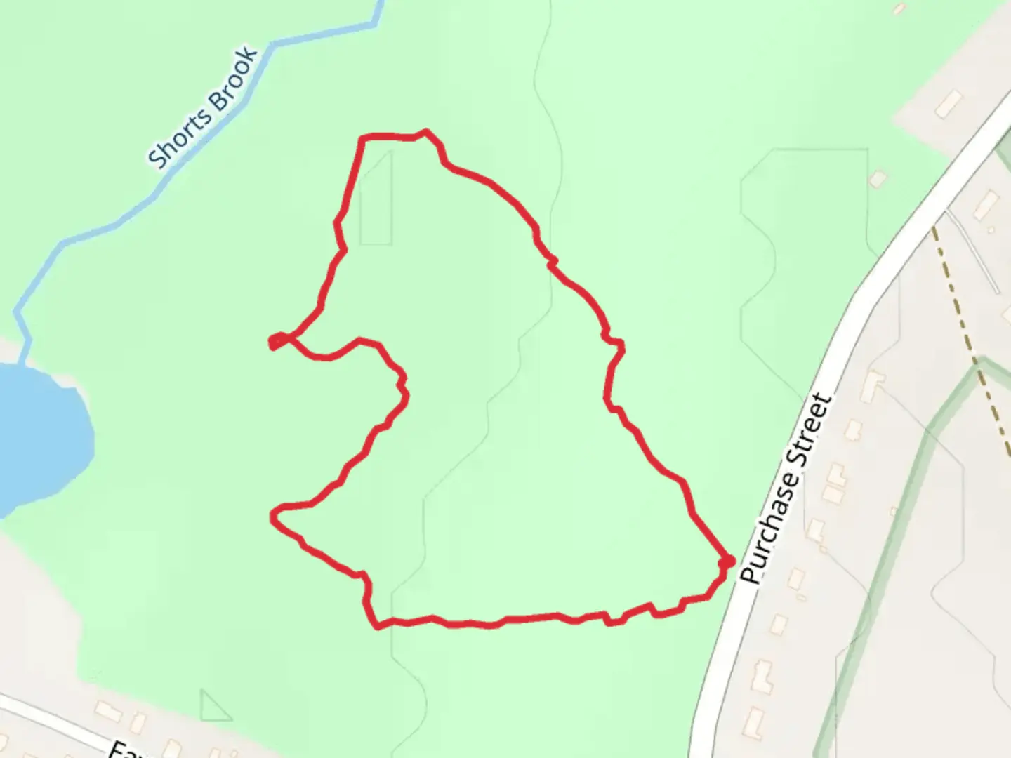 An image depicting the trail Shorts Brook Loop and its surrounding area.