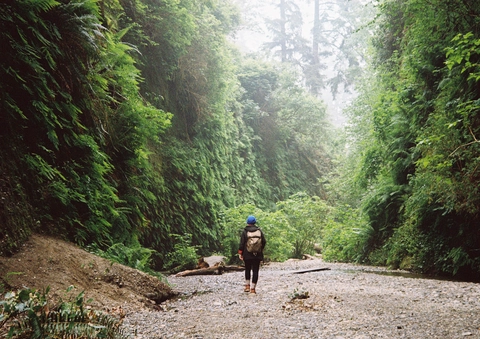 An image depicting the trail Moorman Pond Trail and its surrounding area.
