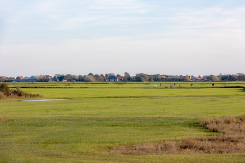 Beemster and Eilandspolder Loop