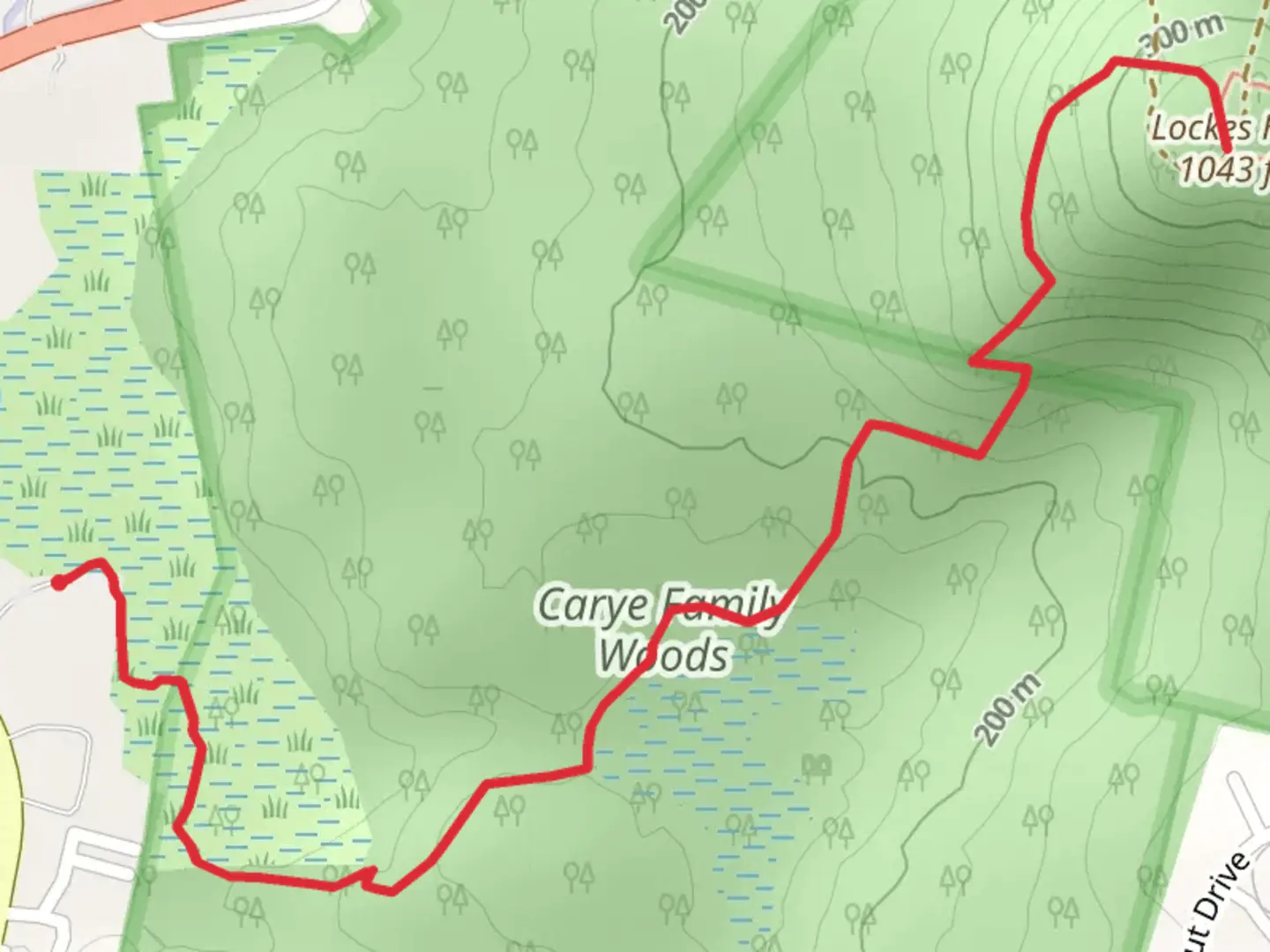An image depicting the trail Lockes Hill Trail via Intervale Road and its surrounding area.